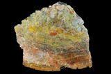 Colorful, Polished Petrified Wood (Araucarioxylon) - Arizona #147913-1